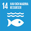 Mål-14-Agenda2030.jpg