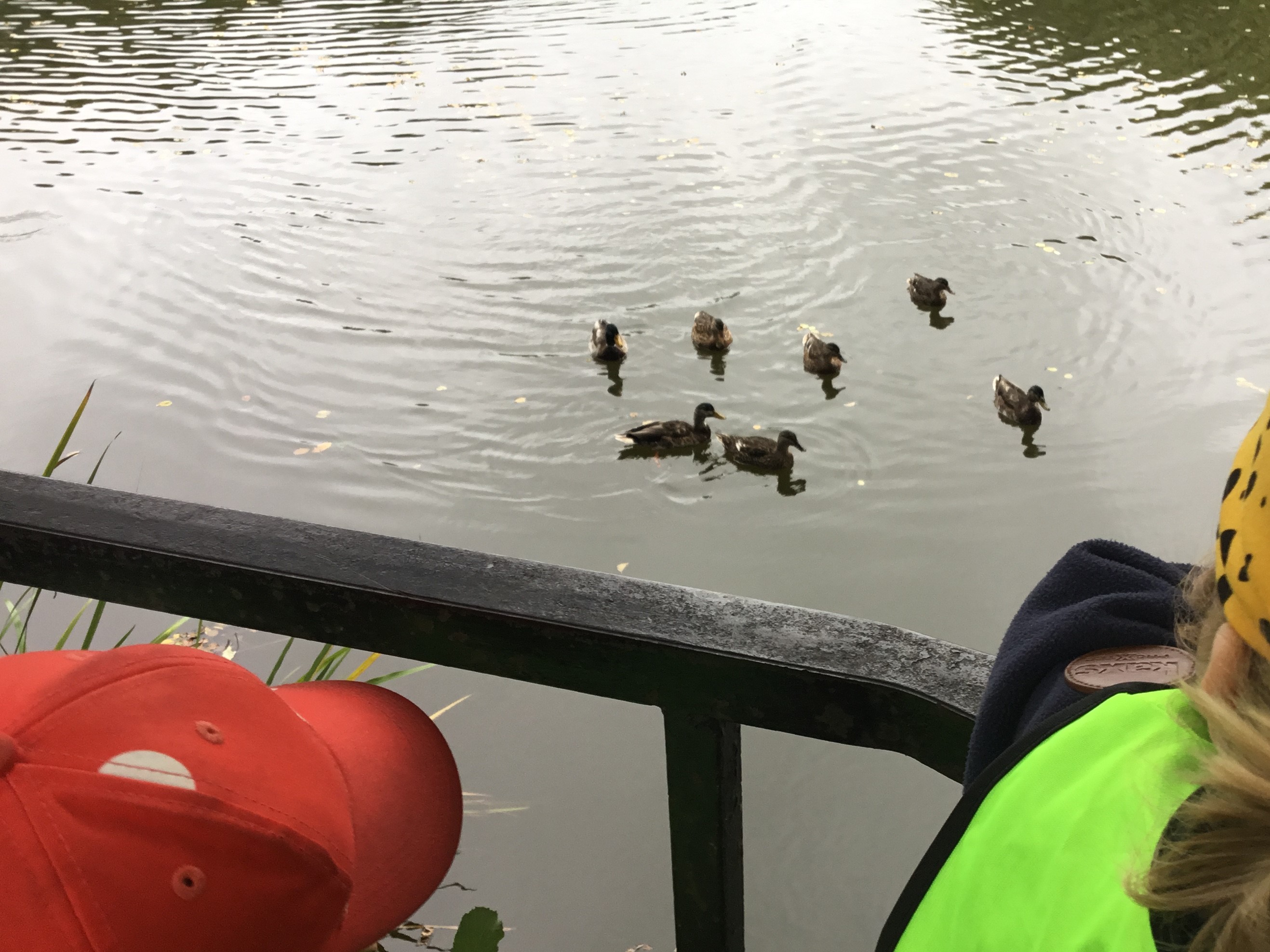Upptäcktsfärd 